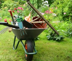 Что это за инструмент: сложная задачка для садоводов