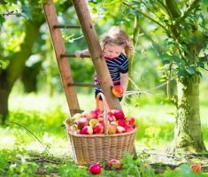 Ваш ребенок – садовод-огородник