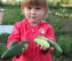 Овощи которые может вырастить ваш ребенок