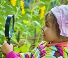 Ознакомление детей с природой