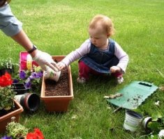 Огород не только для взрослых – делаем детскую грядку
