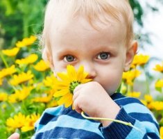 Опасные и ядовитые для детей растения